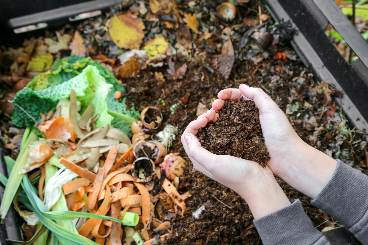 Nourish Naturally—The Importance of Compost for Your Garden and Lawn