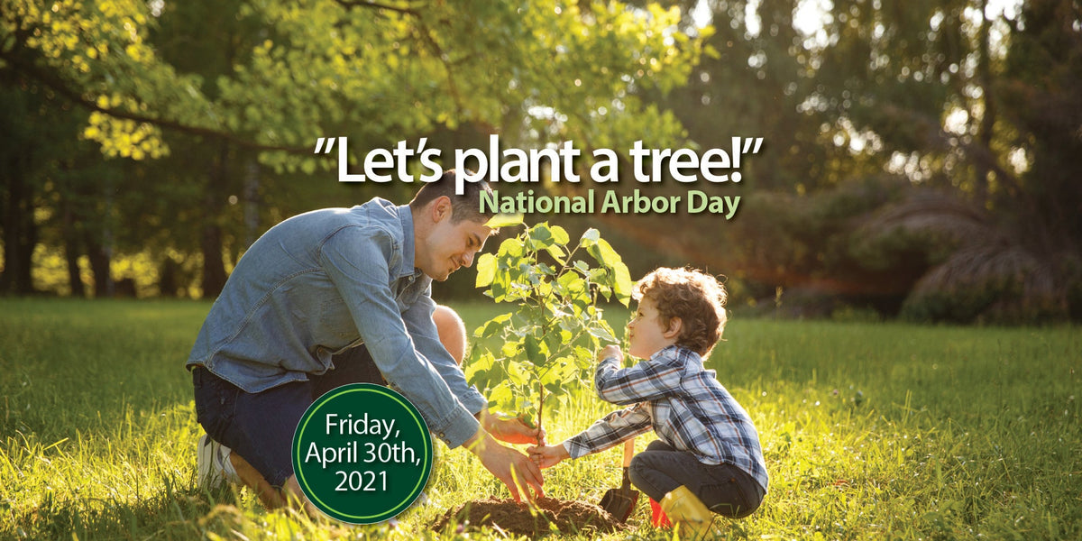 National Arbor Day
