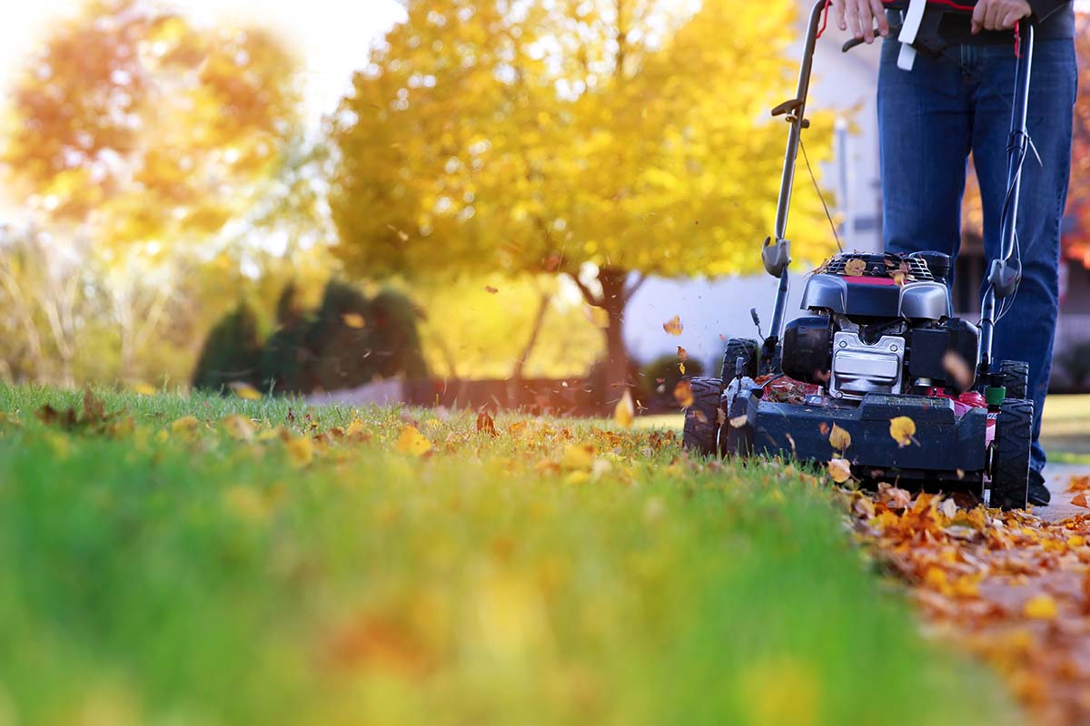 Autumn Fertilizing Guide