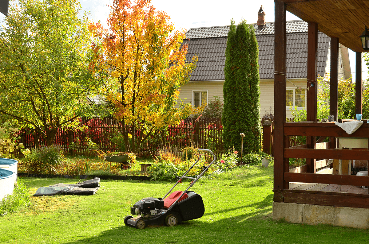 Fall Lawn Care Guide