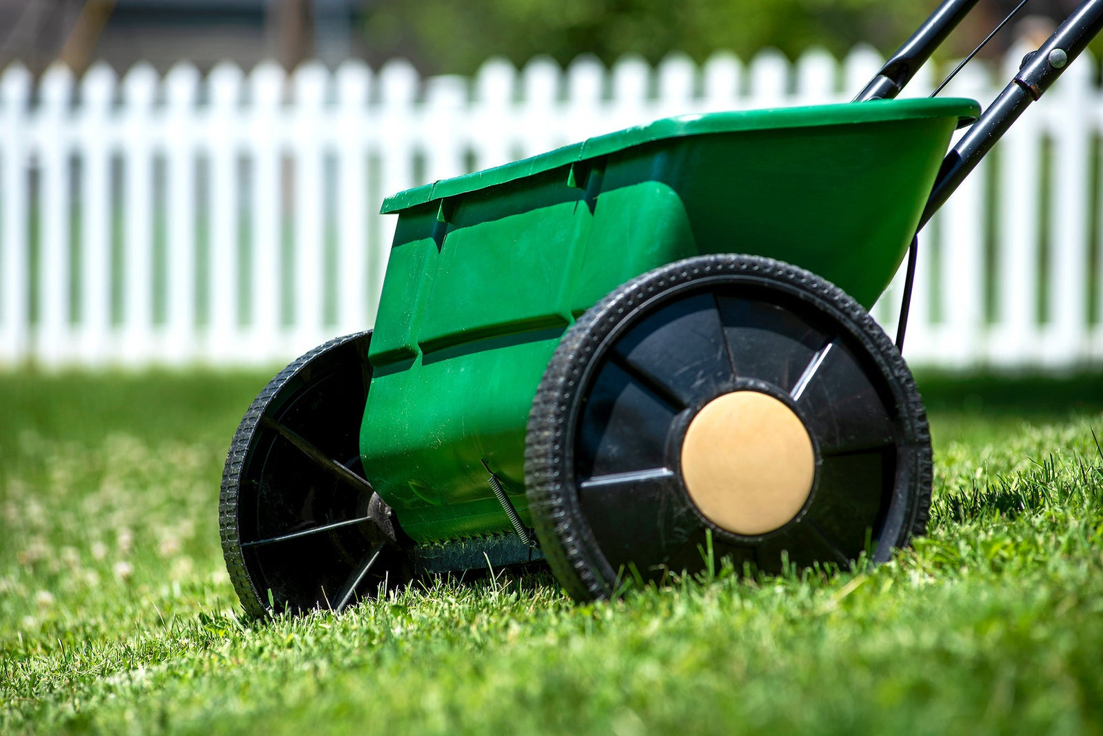 Top 5 Reasons to Overseed Your Lawn in Spring