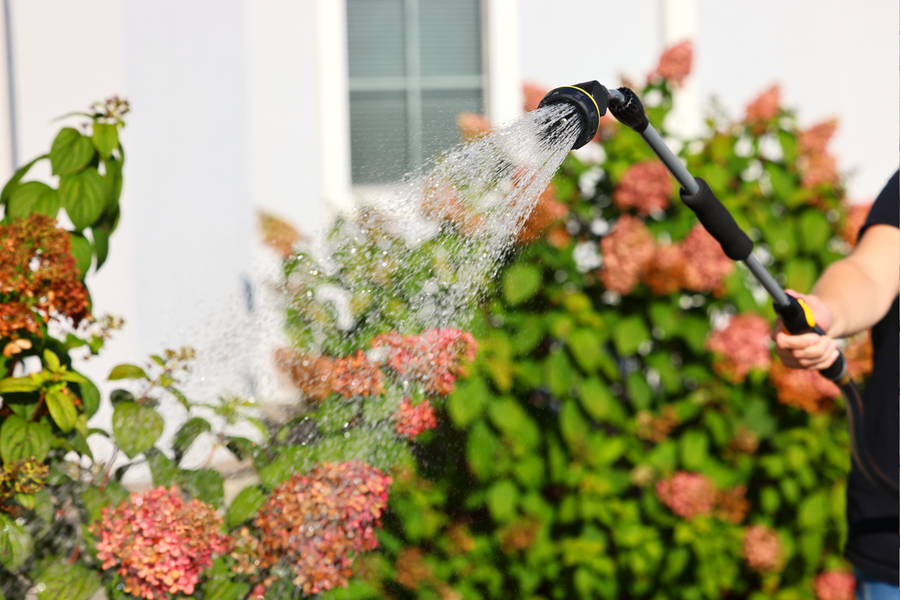 Melnor Watering Wand Named Best Bang for the Buck