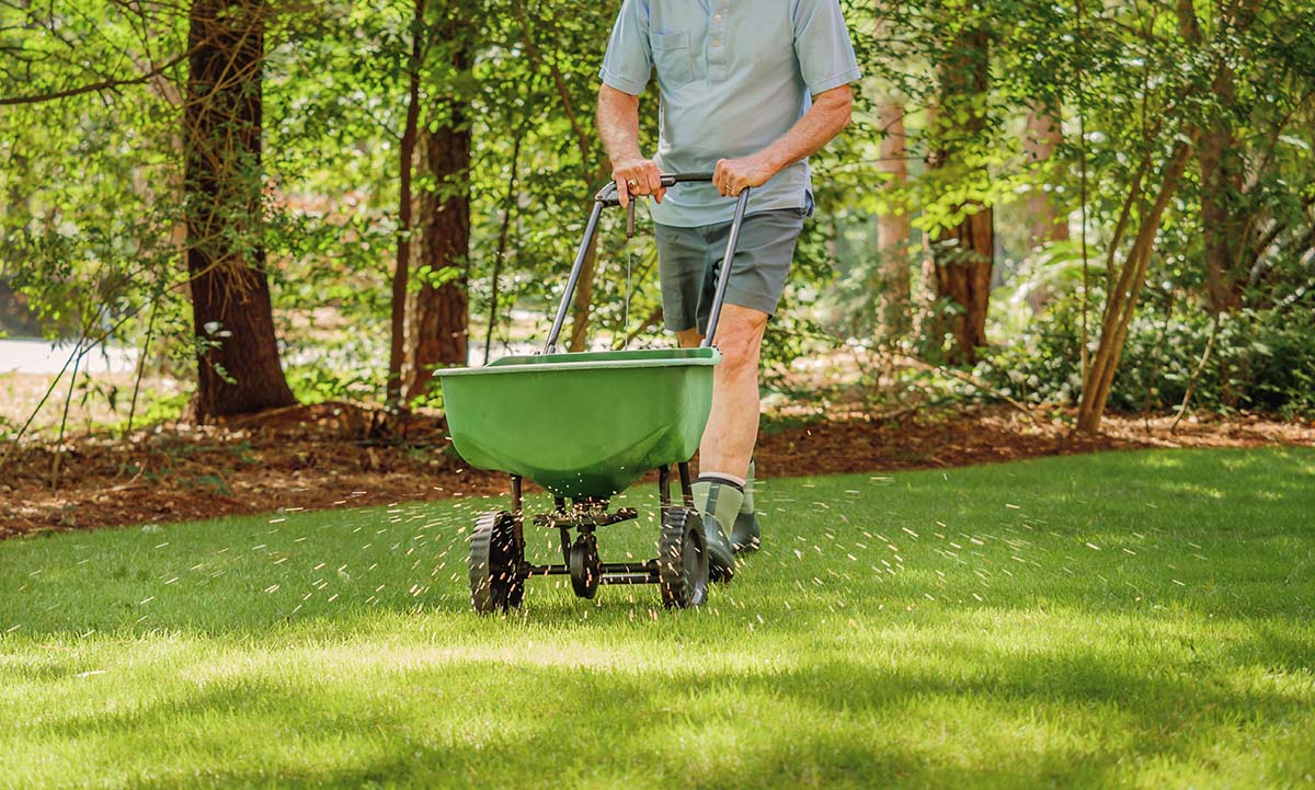 Spring Fertilizing Guide