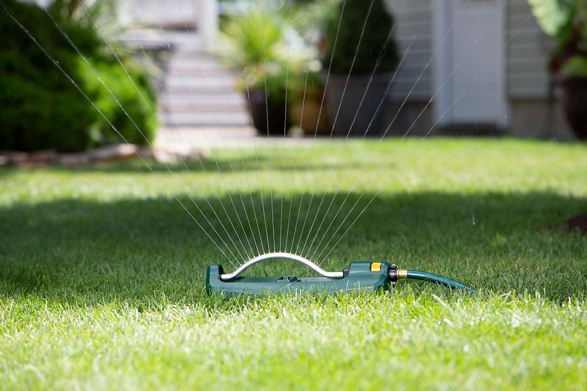 Summer Fertilizing Guide
