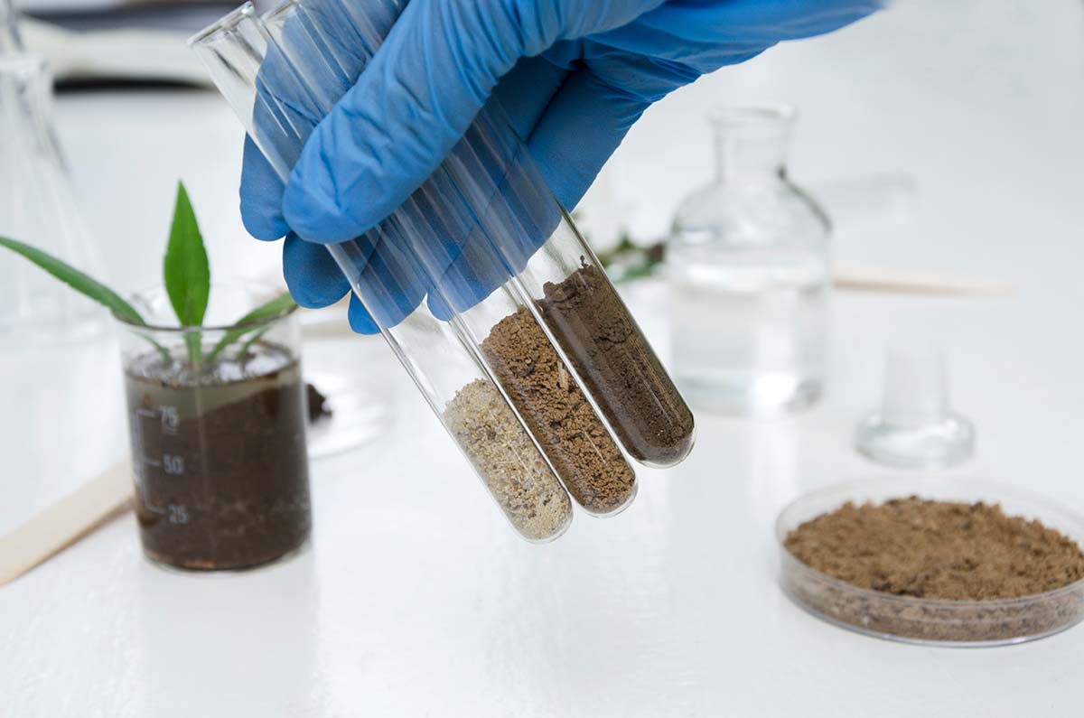 The What, When, & Why of Fertilizing