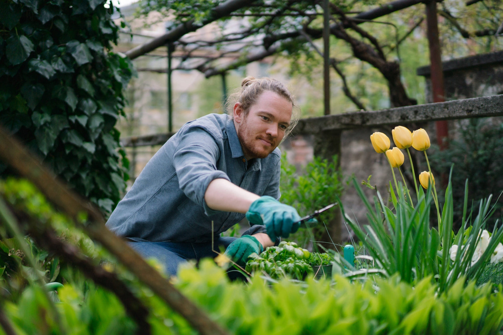 6 Easy Steps to Get Started as a Beginner Gardener