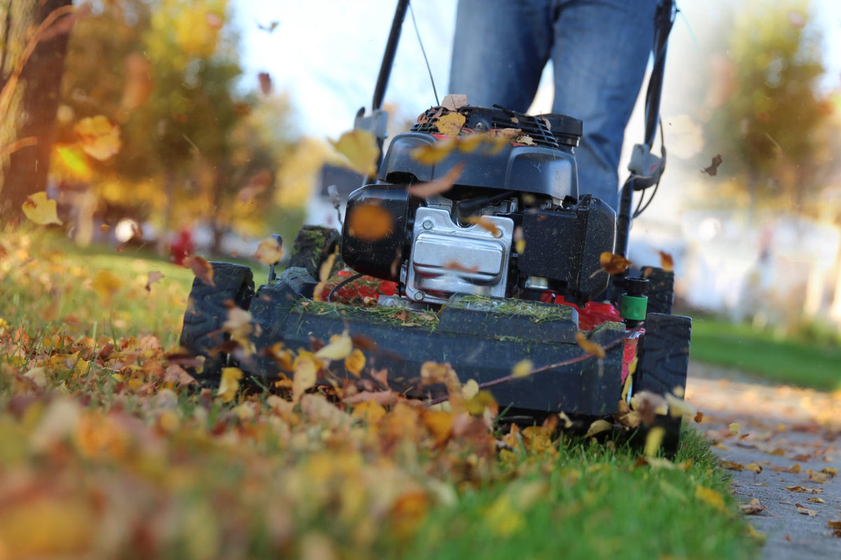 Winterizing Your Lawn: A Step-by-Step Guide