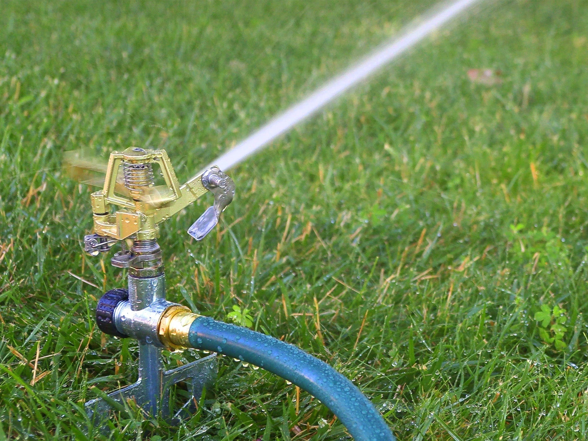 How to Save Water with Timers and Sprinklers During a Heatwave