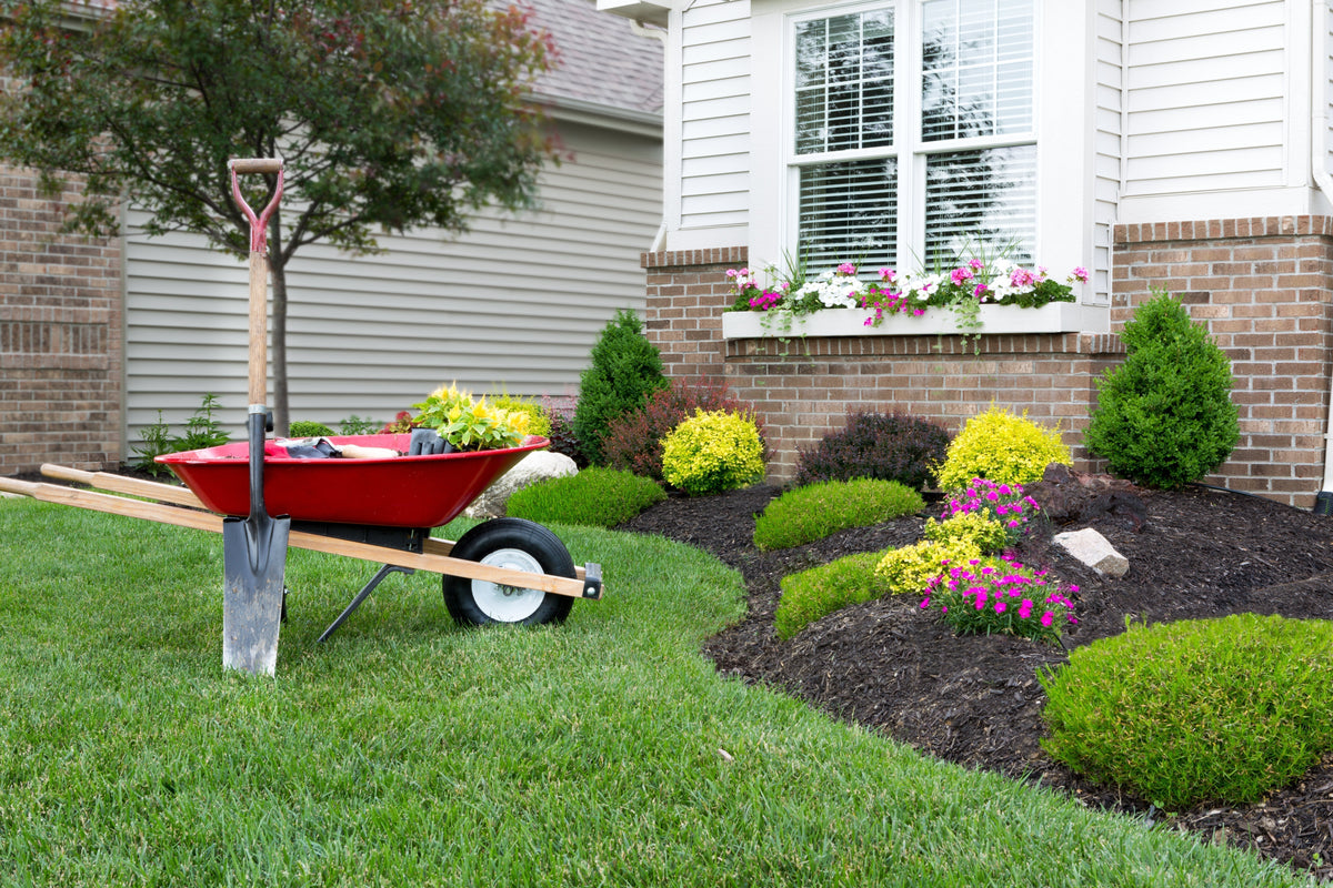 Boost Your Home’s Curb Appeal