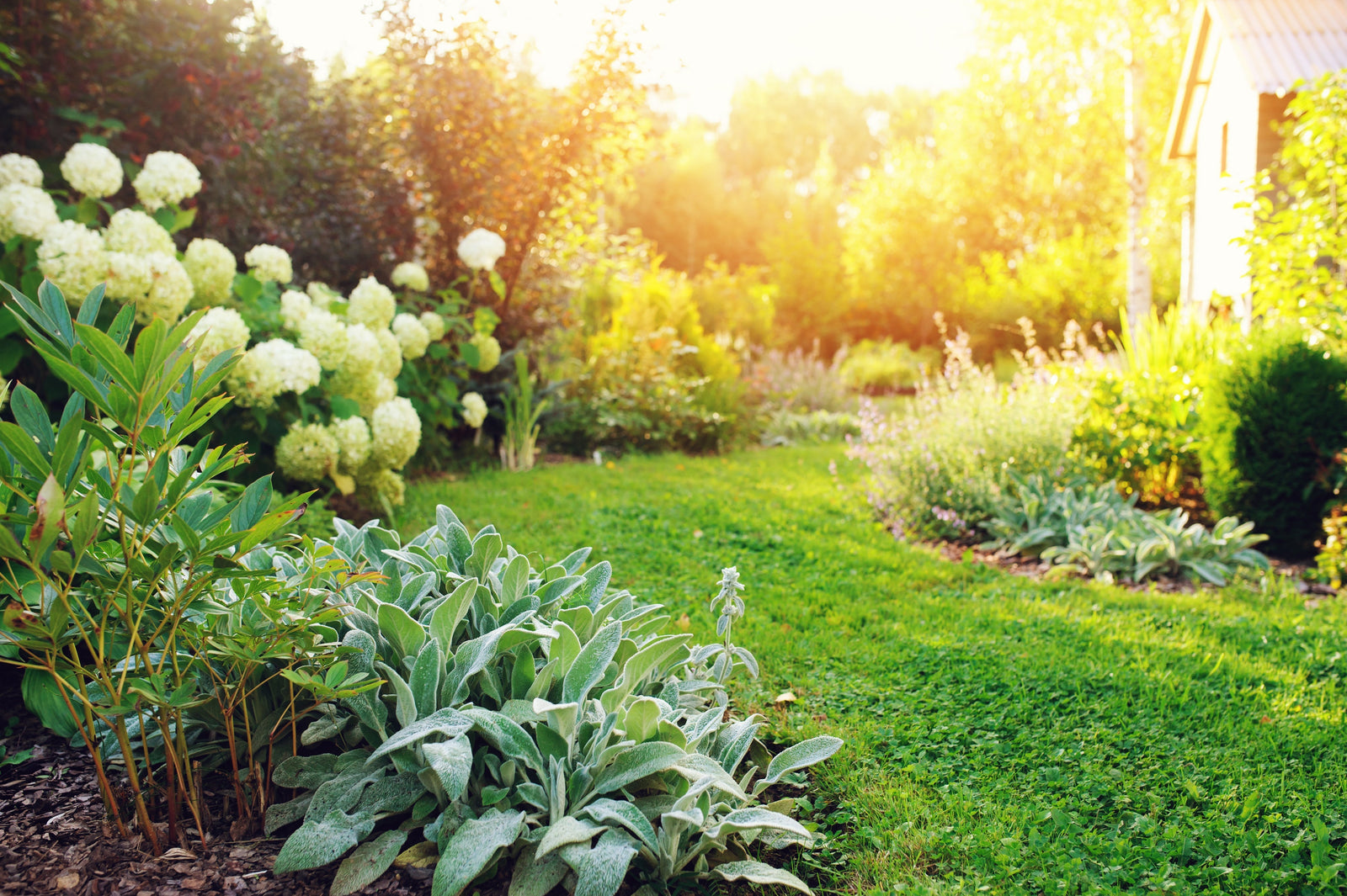 Keep Your Lawn and Garden Thriving While You’re On Vacation