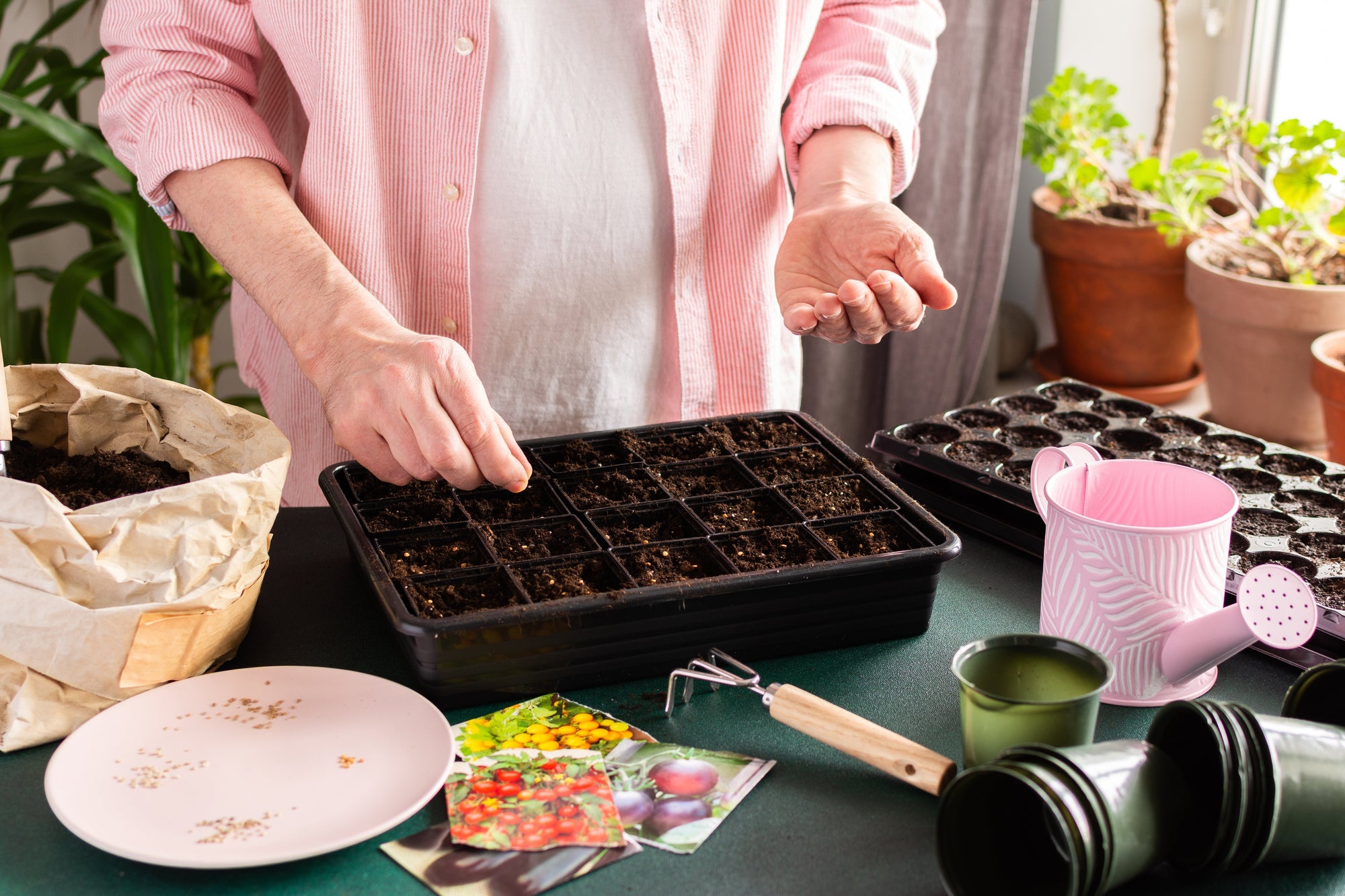 When and How to Start Your Summer Vegetable Garden Growing