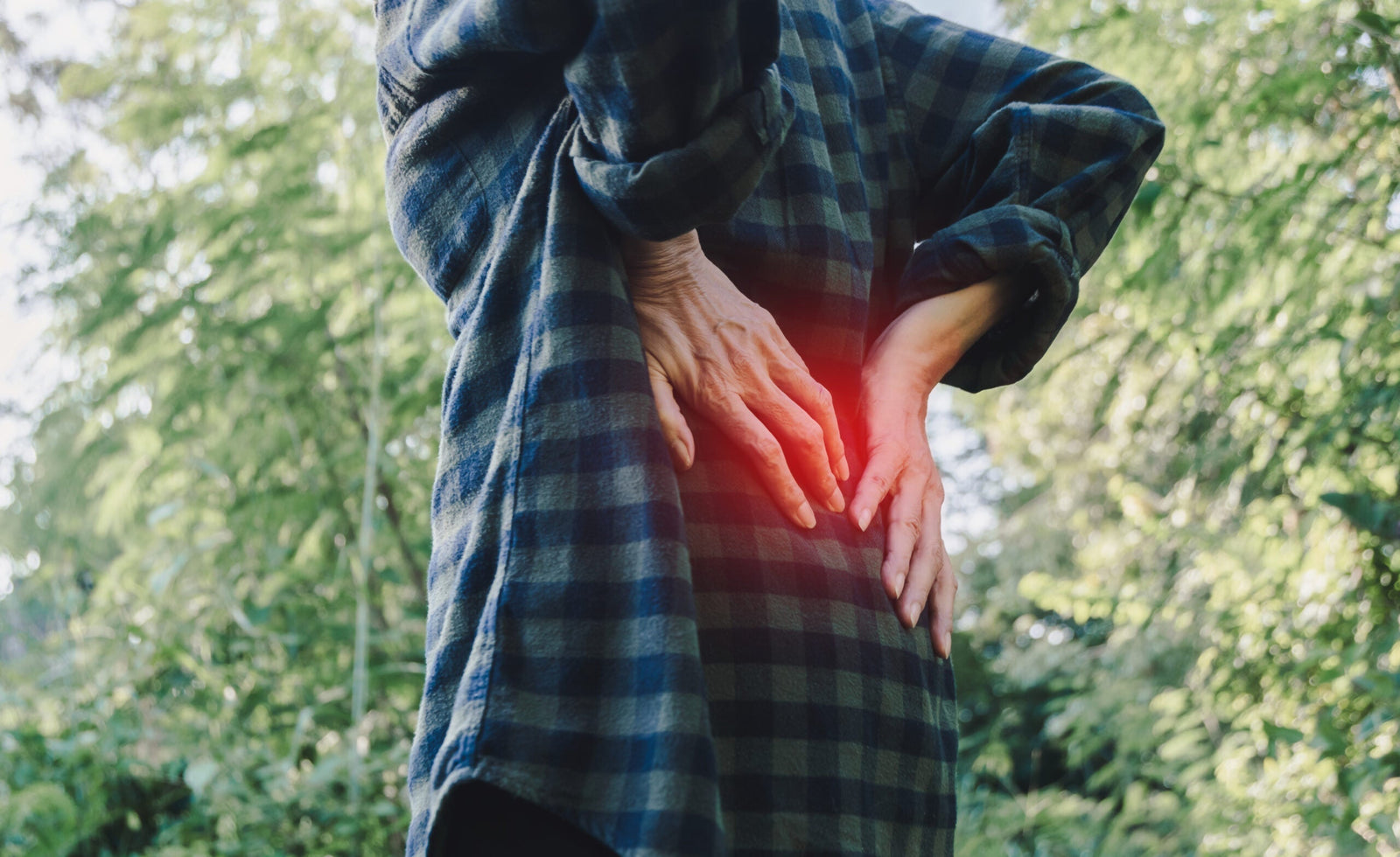 Three (3) Techniques to Avoid Back & Joint Pain in the Garden