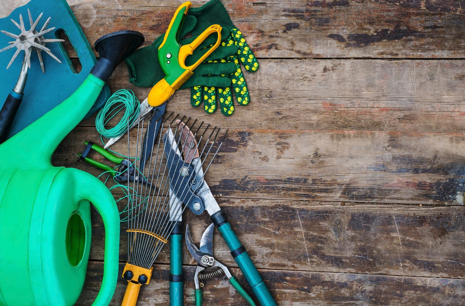 Fall for These Top Tips: Your Guide to Prepping Your Garden for Spring