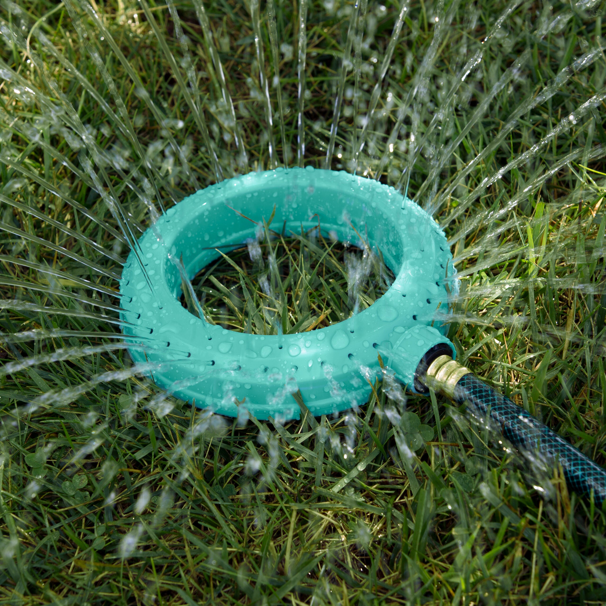 This image shows a circular sprinkler attached to a hose, spraying water onto wet grass, with water droplets visible on the sprinkler's turquoise surface.