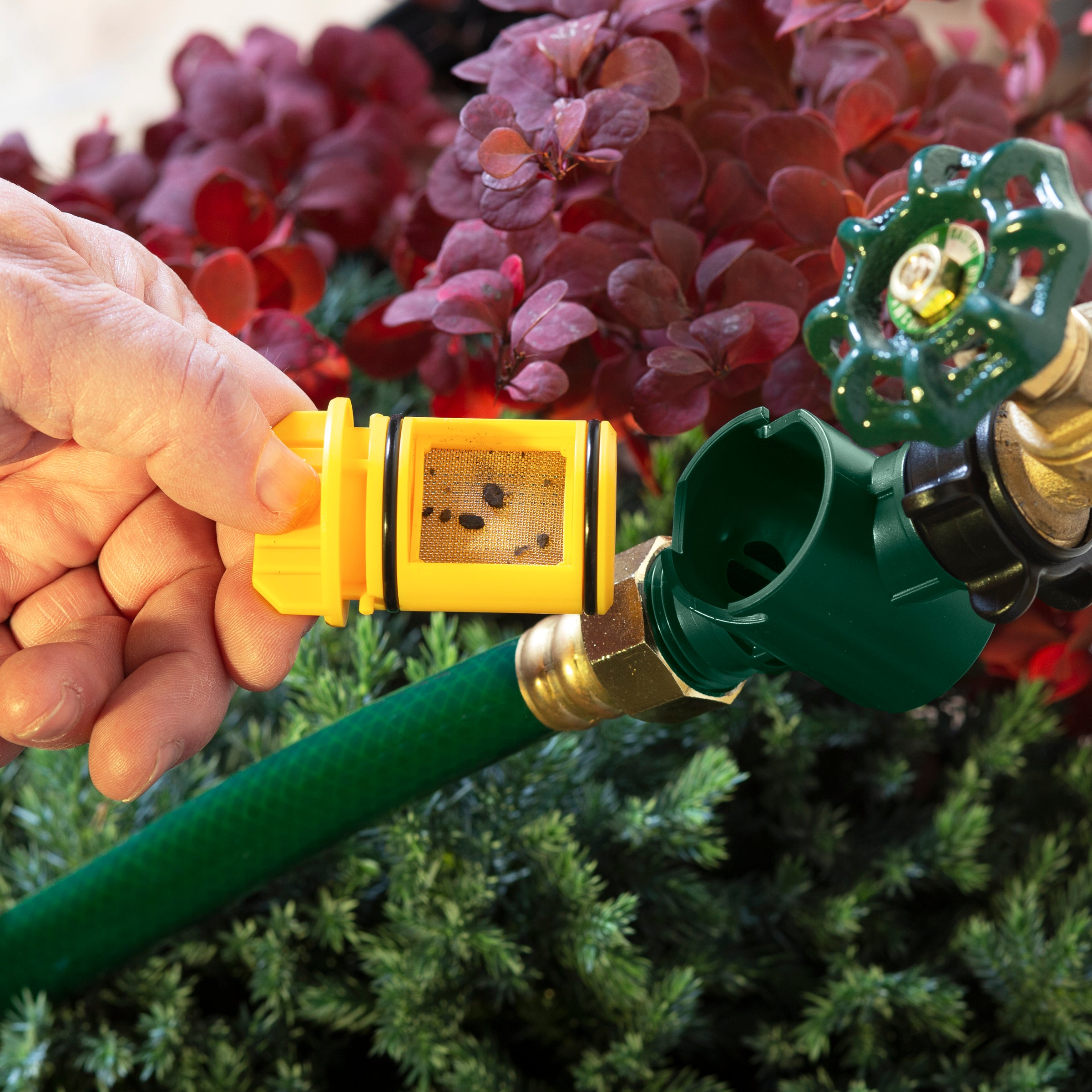 A person's hand is holding a yellow and black garden hose filter attached to a green hose with a water sprinkler head, amidst floral foliage.
