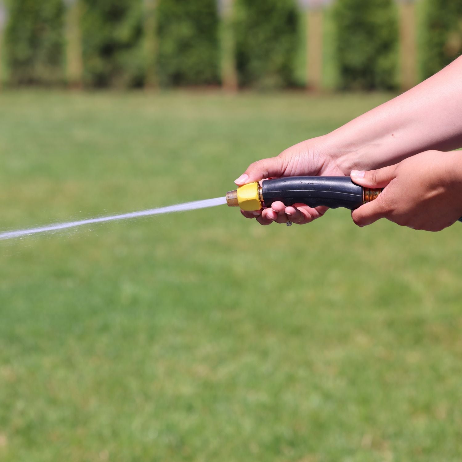 A person is holding a garden hose nozzle, spraying water onto grass, with a blurred green background indicative of a sunny garden or yard.