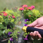 A person's hand is holding a garden hose with a yellow nozzle, watering bright pink and purple flowers on a sunny day, with water droplets in the air.