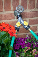An outdoor water faucet with a Y-connector splitting the flow into two green garden hoses, surrounded by blooming red and purple flowers.