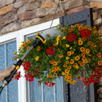 A person is watering a vibrant hanging flower basket with a hose, against a backdrop of a stone wall and window. Droplets are visible in the air.