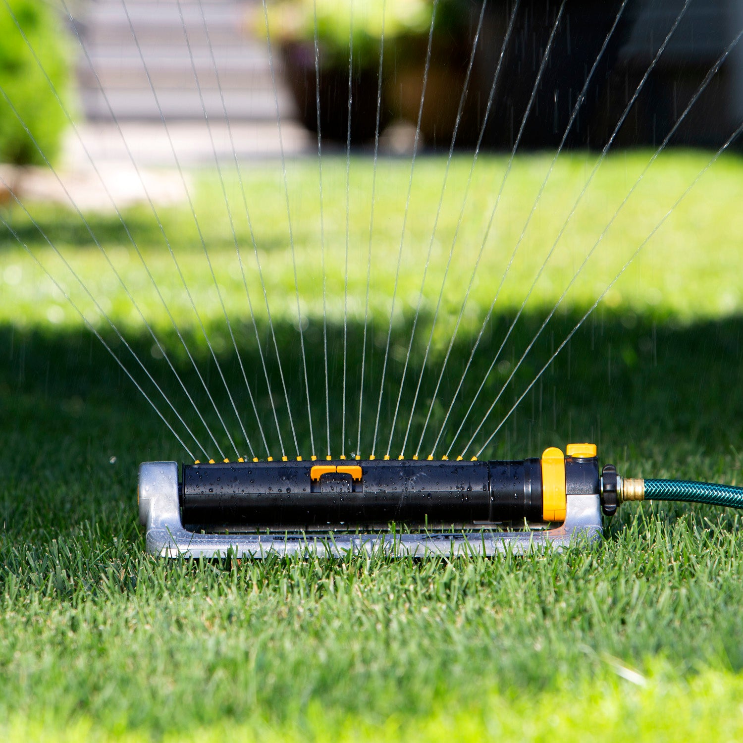 An oscillating lawn sprinkler is connected to a green garden hose, spraying water across a green lawn, with a blurred house in the background.