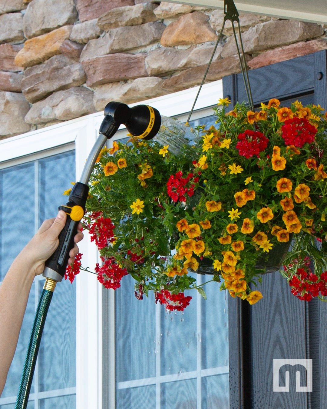 Person watering colorful hanging flowers with a hose against a stone wall.