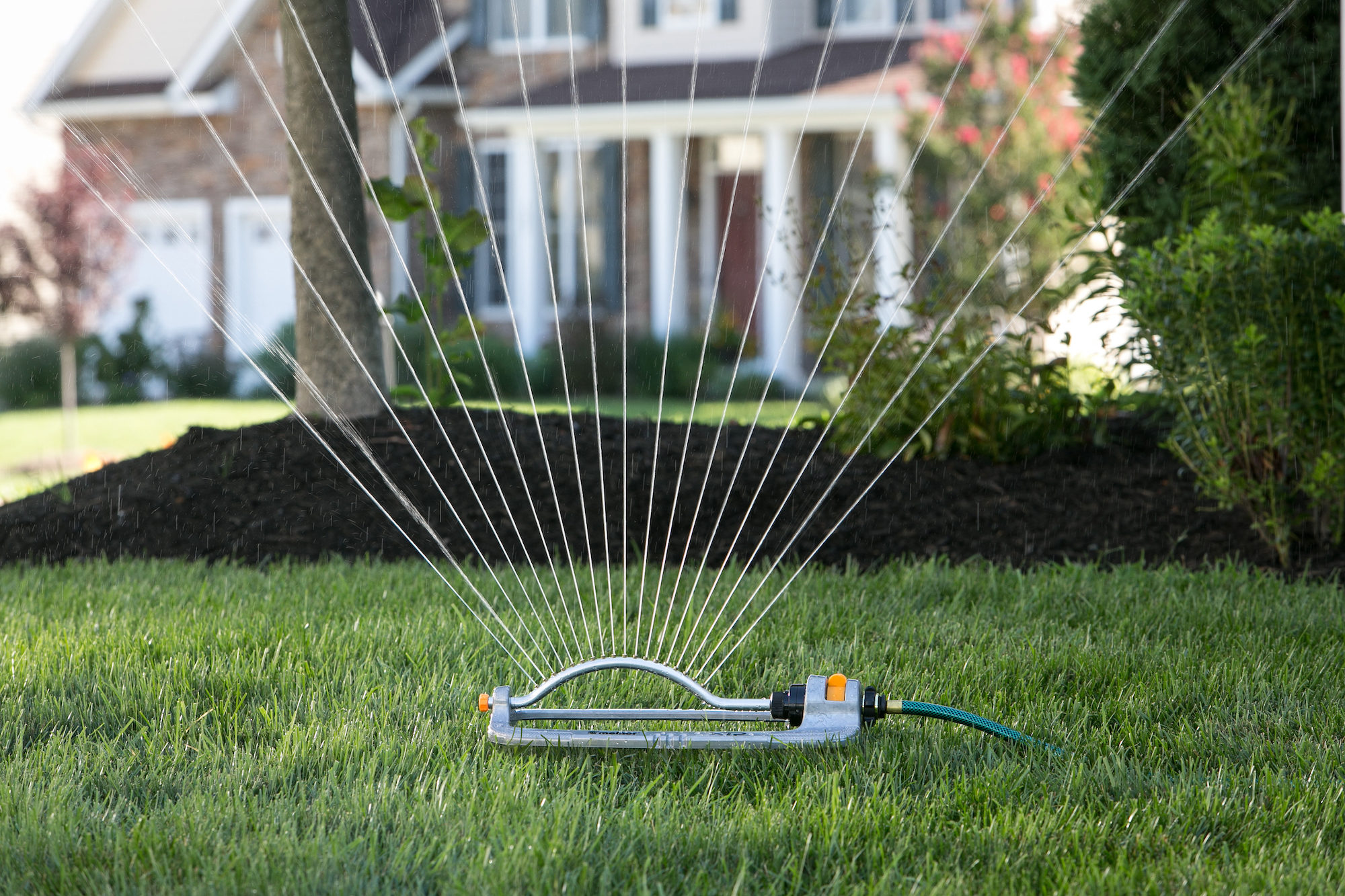 sprinkler in yard
