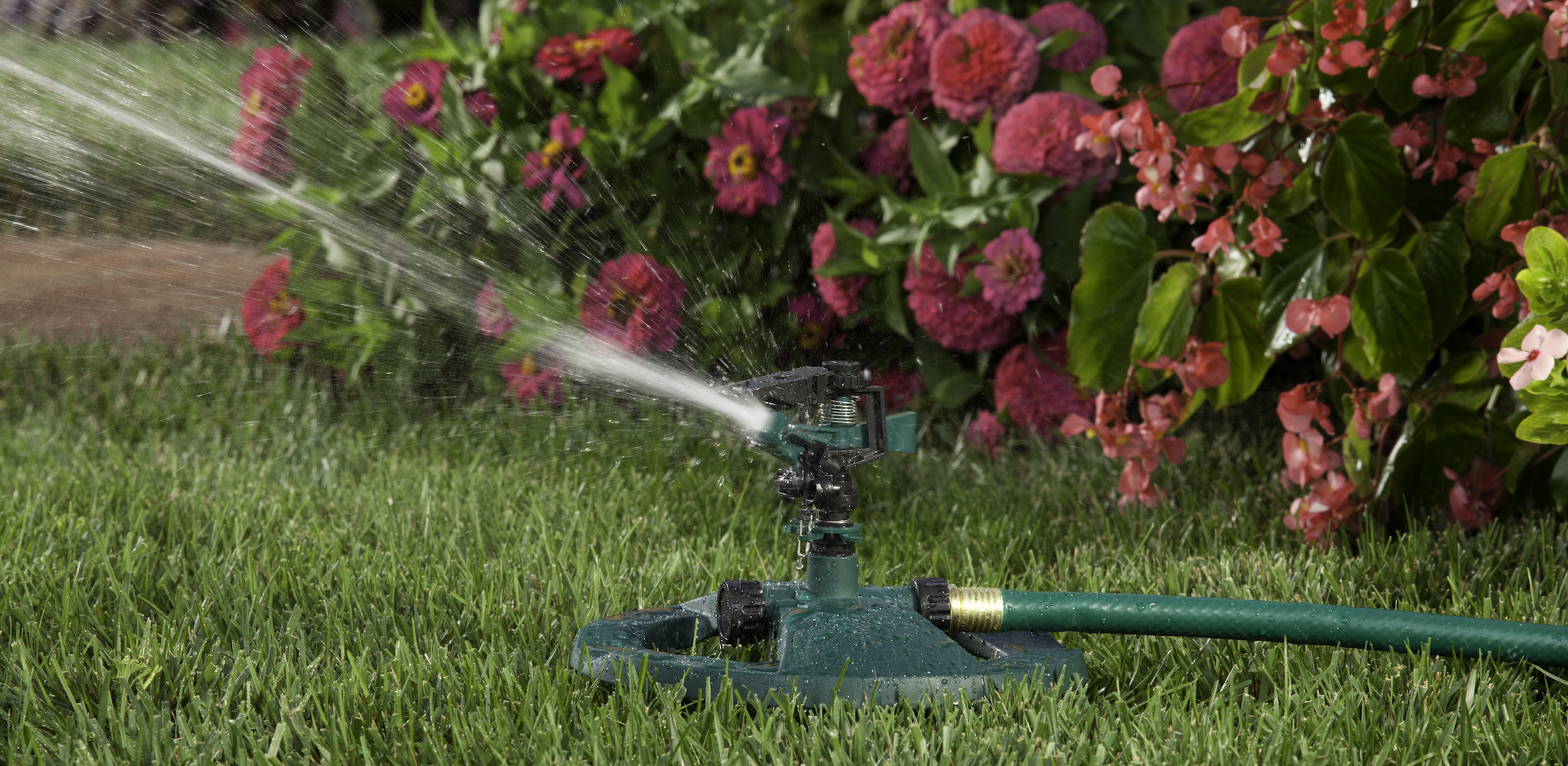 lawn being watered by a sprinkler system