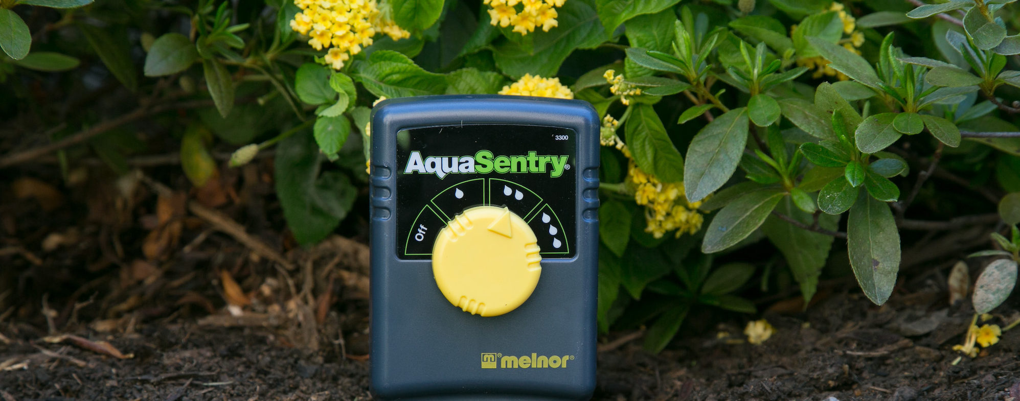 sprinkler timer in yard