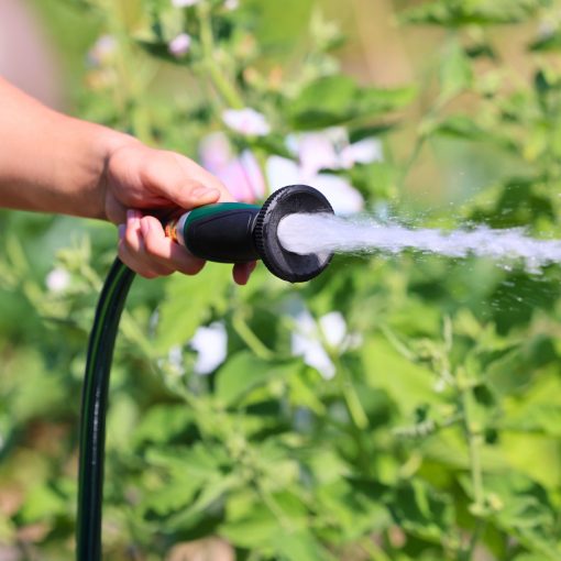 A person's hand holding a hose with a nozzle spraying water on plants in a garden on a sunny day, showing outdoor gardening activities.