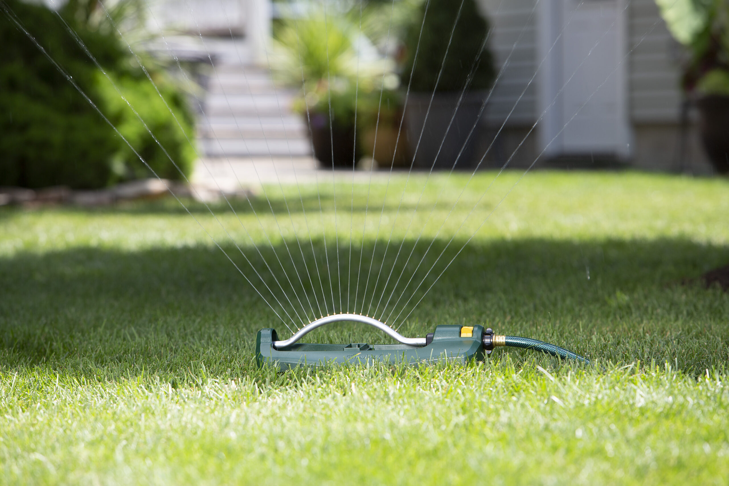 An oscillating sprinkler is actively watering a lush green lawn. There's a streak of sunlight across the grass with a blurred house in the background.