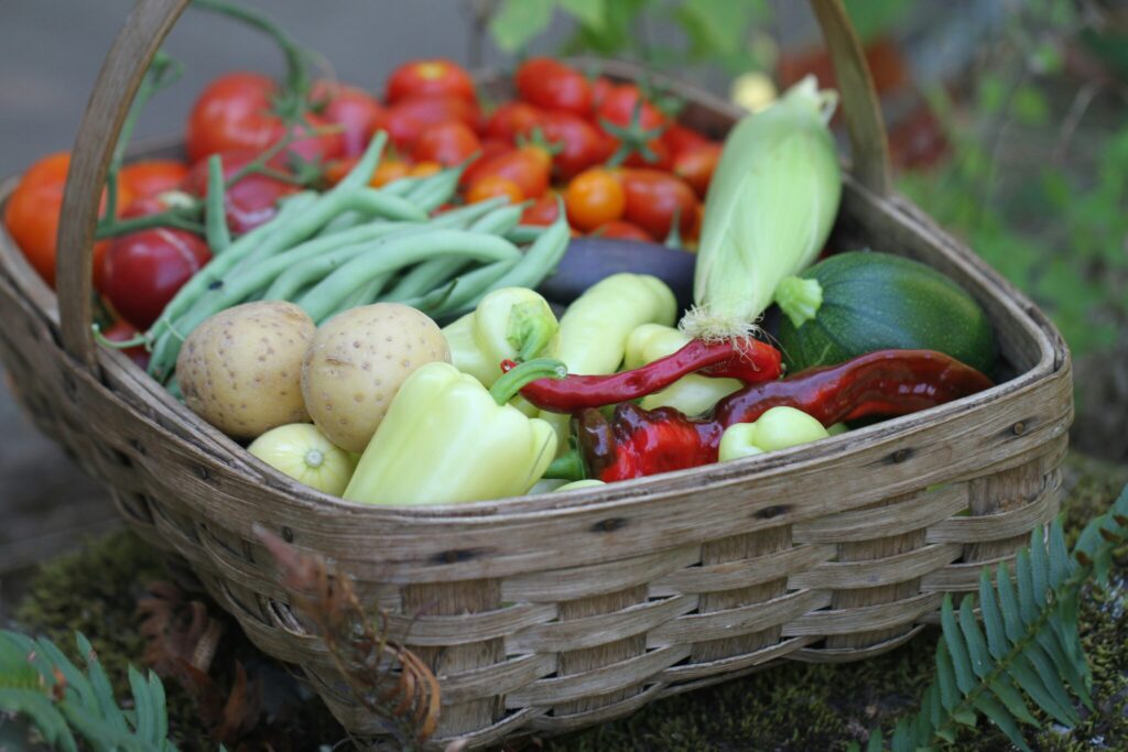 Freshly harvested vegetables held by a wicker basket outdoors.