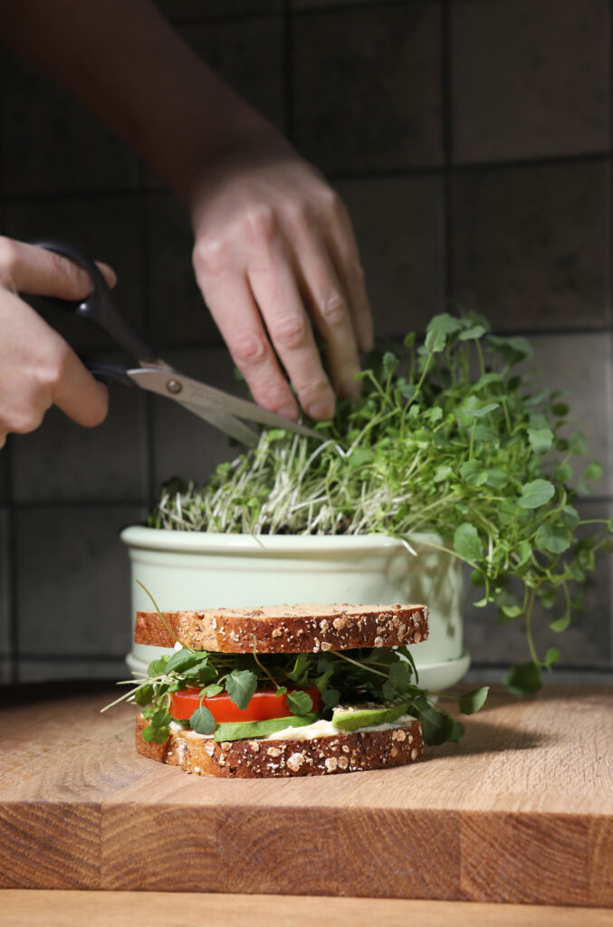Hands cutting microgreens above a sandwich on whole grain bread.